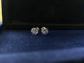 Celeste Studs